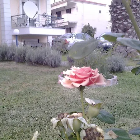 Apartament Esperides *